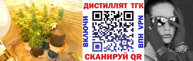 Купить закладки  Спасск-Рязанский  Дистиллят ТГК жижа 
