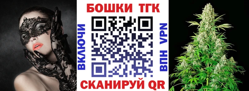 Купить закладки  Спасск-Рязанский  Бошки Шишки индика 
